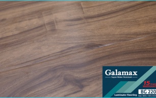 GALAMAX  BG  220-8