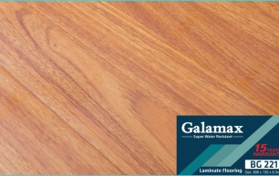 GALAMAX BG 221-8