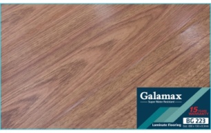 GALAMAX BG 223-8