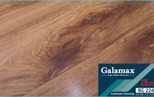 GALAMAX BG 224-8