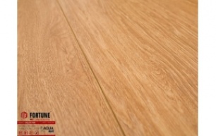 Sàn gỗ FORTUNE -909