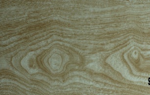 Sàn Nhựa IDEFLOORS 2mm Dán Keo SP-105