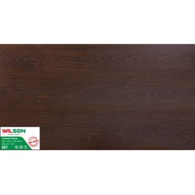 WILSON 681-8